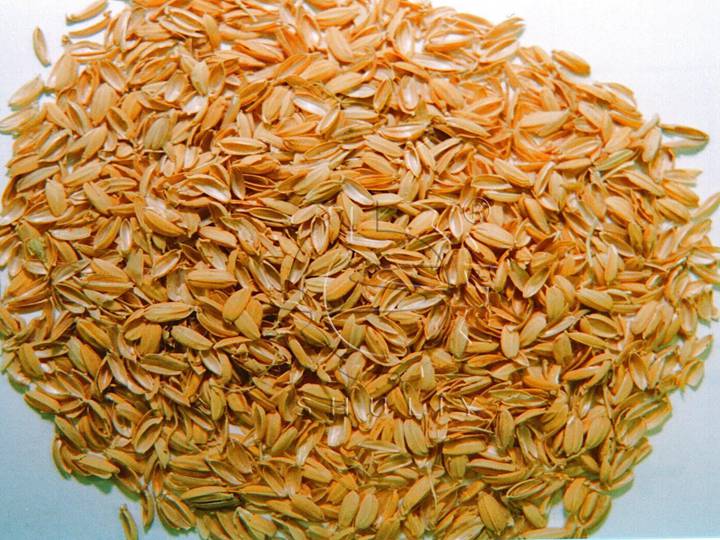 rice husk